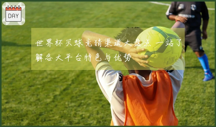 世界杯买球竞猜渠道大盘点 一站了解各大平台特色与优势