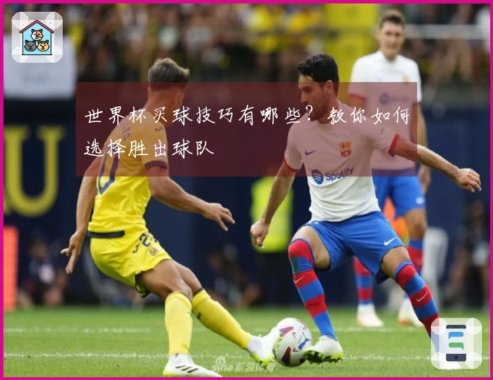 世界杯买球技巧有哪些？教你如何选择胜出球队