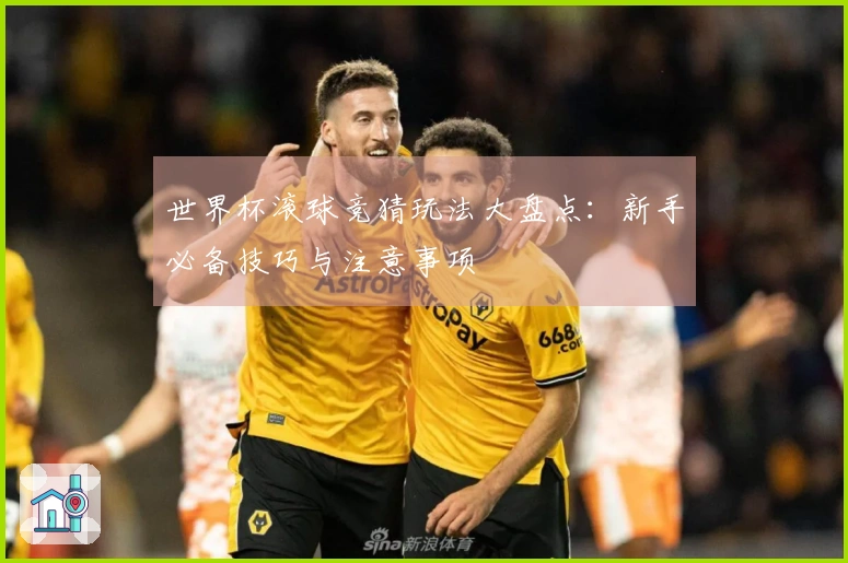 世界杯滚球竞猜玩法大盘点:新手必备技巧与注意事项