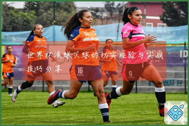 世界杯滚球买球的切实经验与实战技巧分享