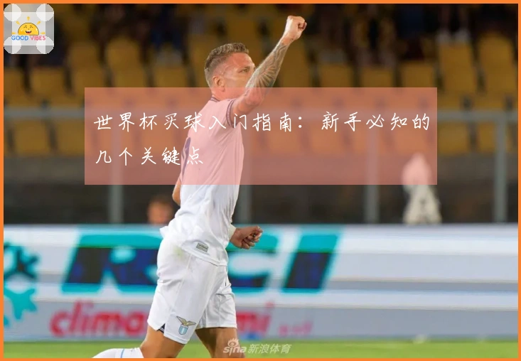 世界杯买球入门指南：新手必知的几个关键点