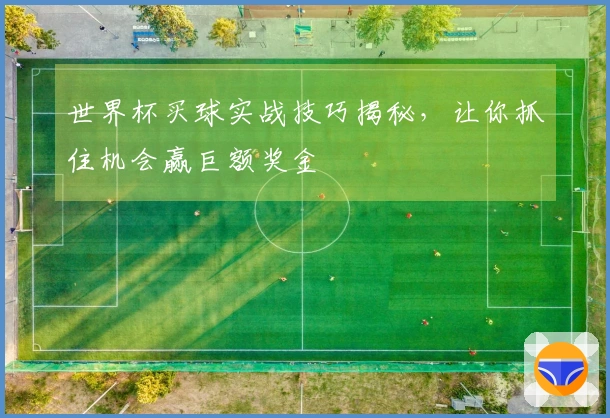 世界杯买球实战技巧揭秘，让你抓住机会赢巨额奖金