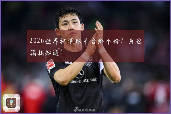 2026世界杯滚球平台哪个好？看这篇就知道！
