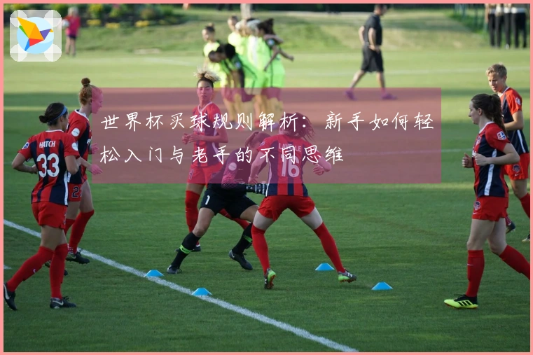 世界杯买球规则解析：新手如何轻松入门与老手的不同思维