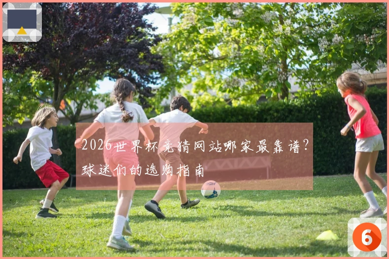 2026世界杯竞猜网站哪家最靠谱？球迷们的选购指南