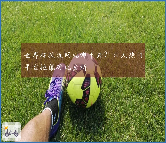 世界杯投注网站哪个好？六大热门平台性能对比分析