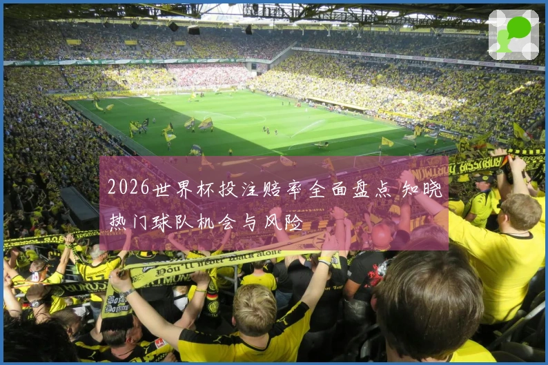 2026世界杯投注赔率全面盘点 知晓热门球队机会与风险