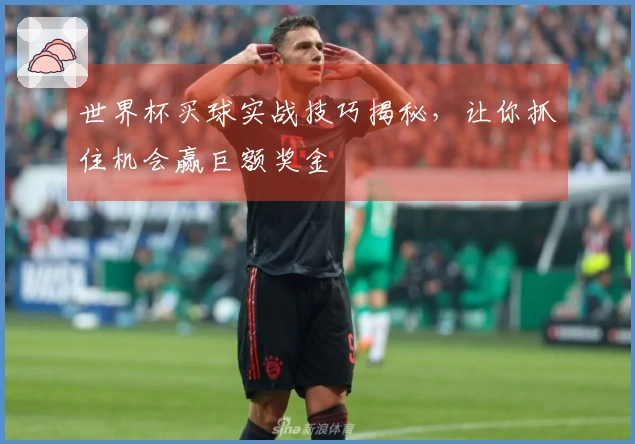 世界杯买球实战技巧揭秘，让你抓住机会赢巨额奖金