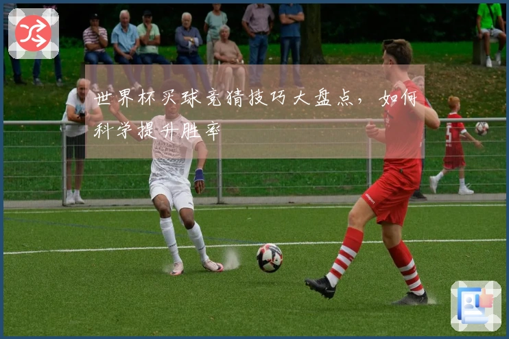 世界杯买球竞猜技巧大盘点，如何科学提升胜率
