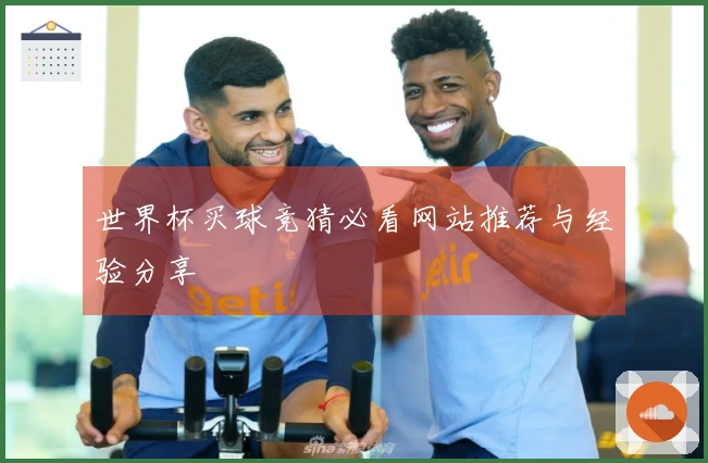 世界杯买球竞猜必看网站推荐与经验分享