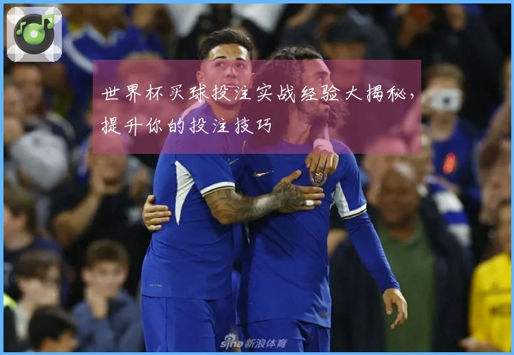 世界杯买球投注实战经验大揭秘，提升你的投注技巧
