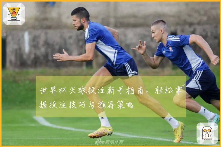 世界杯买球投注新手指南，轻松掌握投注技巧与推荐策略