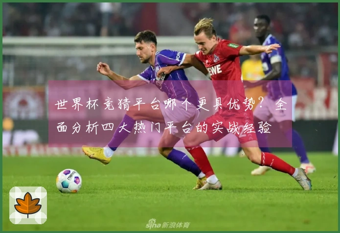 世界杯竞猜平台哪个更具优势？全面分析四大热门平台的实战经验