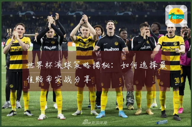 世界杯滚球策略揭秘：如何选择最佳赔率实战分享