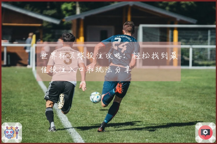 世界杯买球投注攻略：轻松找到最佳投注入口和玩法分享