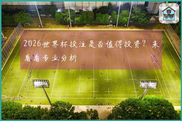 2026世界杯投注是否值得投资？来看看专业分析