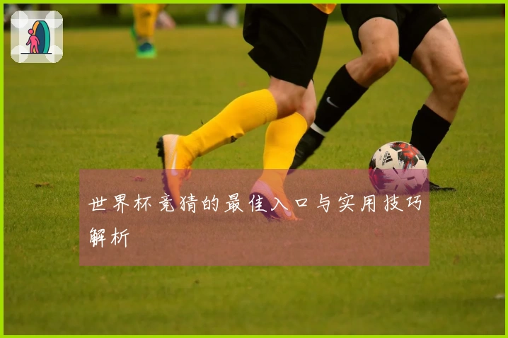 世界杯竞猜的最佳入口与实用技巧解析